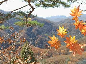 唱老歌经典句子发朋友圈（老歌有味道的形容句子）